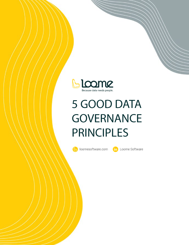 Data Governance Principles eBook Cover